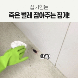 신기패 벌레사냥꾼 - 죽은 벌레 잡기 힘들 때!
